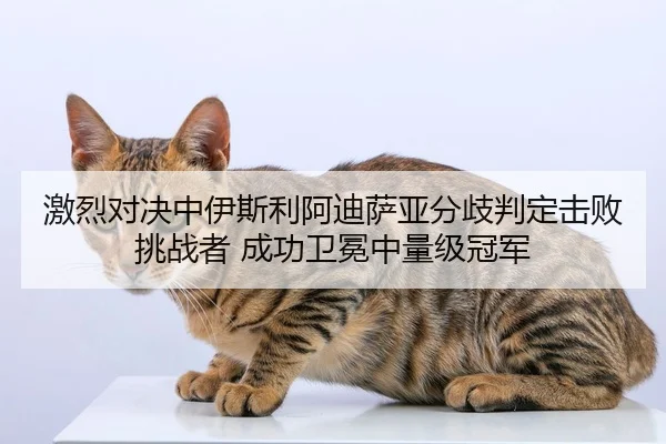 激烈对决中伊斯利阿迪萨亚分歧判定击败挑战者 成功卫冕中量级冠军