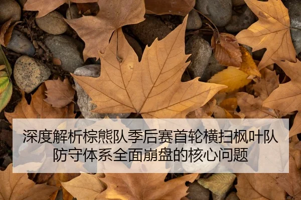 深度解析棕熊队季后赛首轮横扫枫叶队防守体系全面崩盘的核心问题
